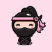 The Designing Ninja