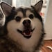 Finn