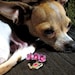 Miss Bee Haven aka Missy B