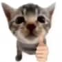 shop-member-photo