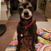 Rudy
