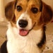 Shiloh