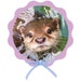 Otter