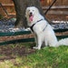 Arlo