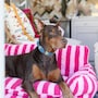 shop-member-photo