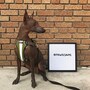 shop-member-photo