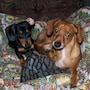 shop-member-photo