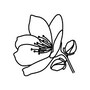 shop-member-photo