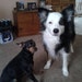 Jack and Maddie