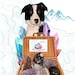 Fina-Dina LLC