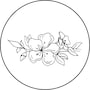 shop-member-photo