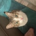 Bethanie