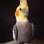 shop-member-photo