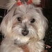 Baxter