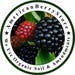 AmericanBerryStore