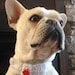 Wilbur
