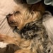 Roscoe