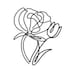 Pronoia Atelier