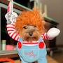 shop-member-photo