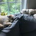 Sparky & Holly