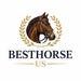 BestHorse US