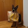 shop-member-photo