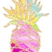 The Blank Pineapple
