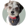 shop-member-photo