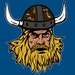 VikingBasement