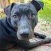 Jethro