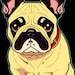 The Grumpy Pet