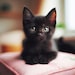 Binx