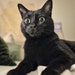 Midna
