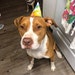 Bronson