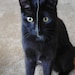 Kiki