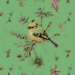 Whimsical Life
