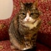 Princess Maggie