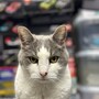 shop-member-photo