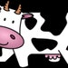 Moo