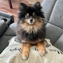 shop-member-photo
