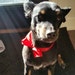 Izzie