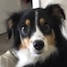 Skye