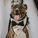 Samson