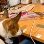 shop-member-photo