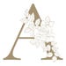 Aria
