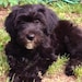 Maggy