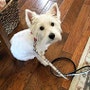 shop-member-photo