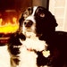 Cooper