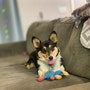 shop-member-photo