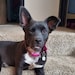 Delta: newest to the clan